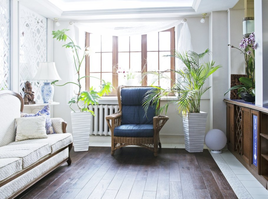 Стильные комнатные растения в интерьере