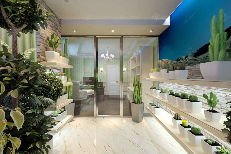 Phytodesign зимний сад