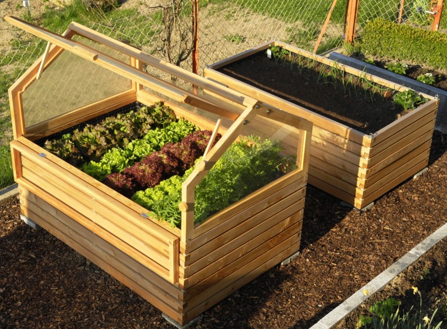 Оригинальные грядки для дачи