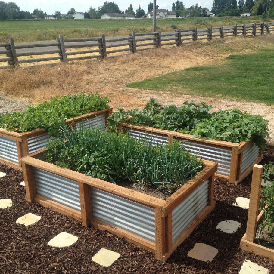 Огород на 1 сотке