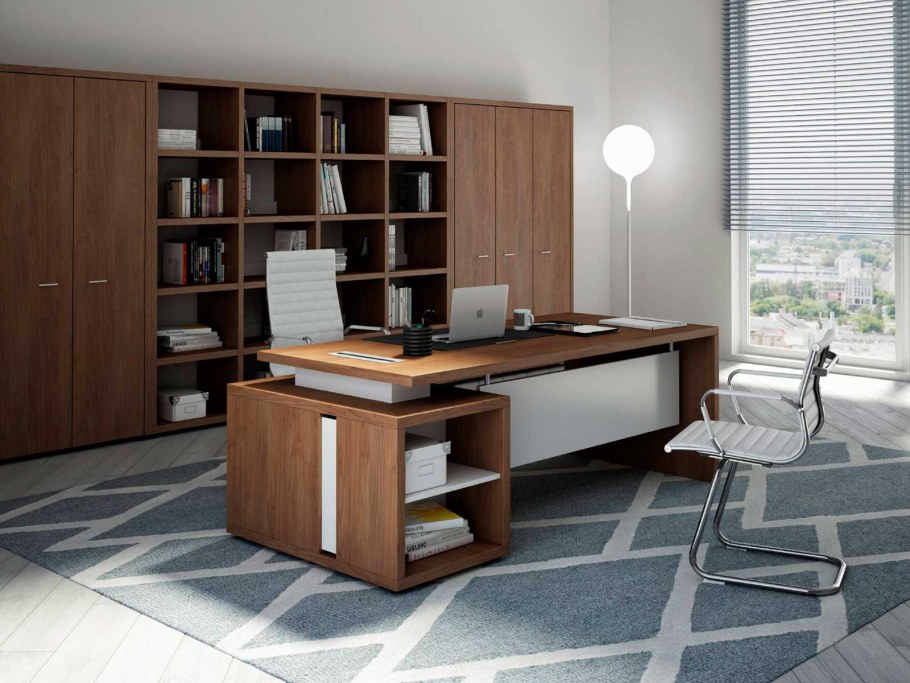 Кабинет руководителя Zion