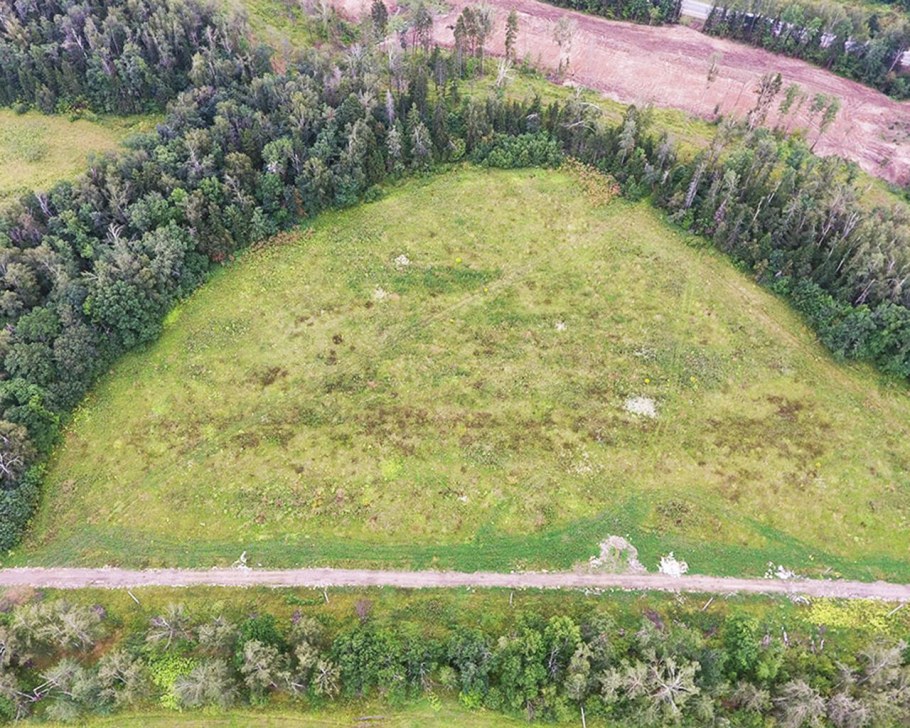 Д Бортнево Пушкинский район Московская область