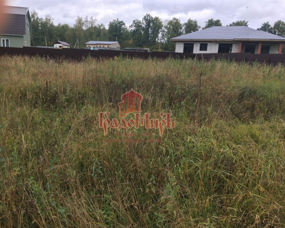 Бортневские дачи фото