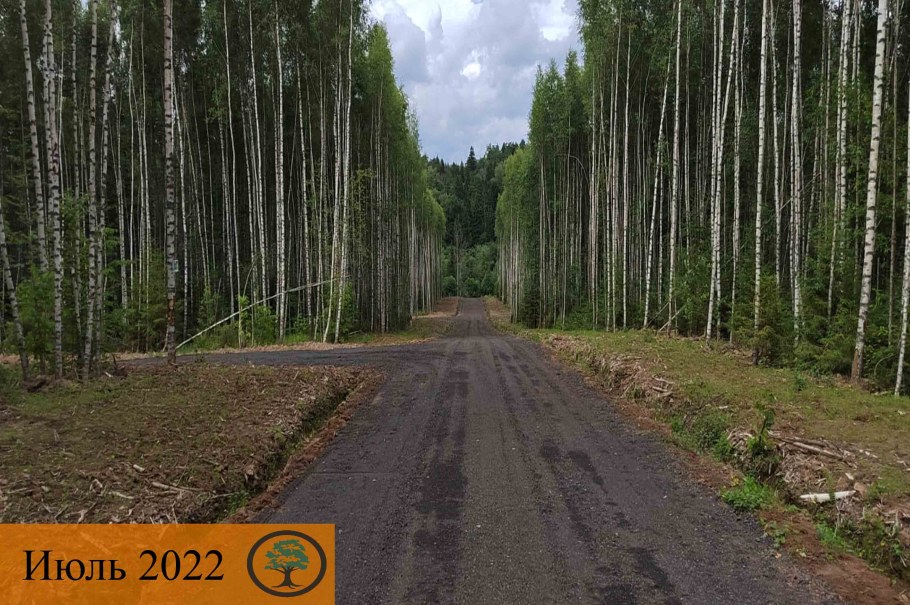 Старорусская улица Луга