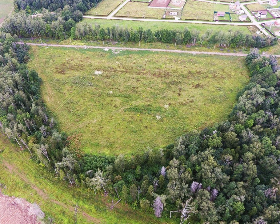 Бортневские дачи фото