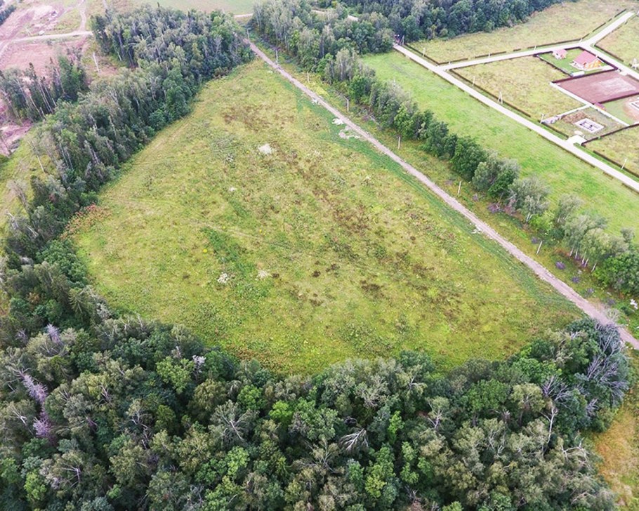Дачный посёлок расположился