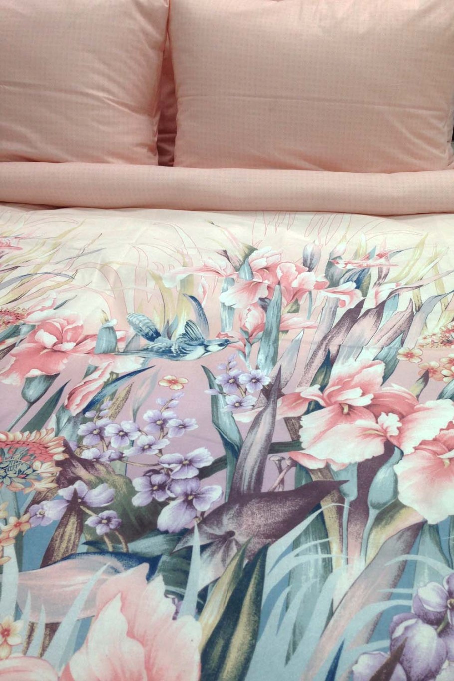 Перкаль Даниэлла компаньон