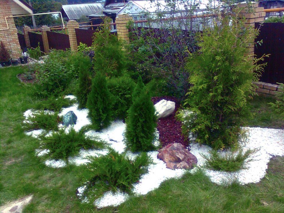 Среднерослые хвойники