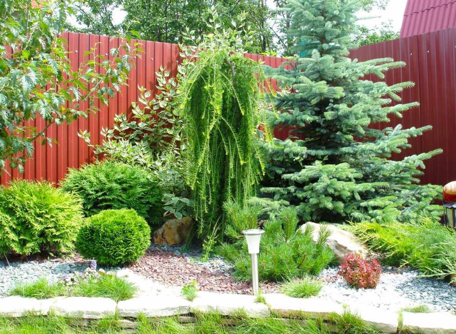 Миксбордеры с хвойниками