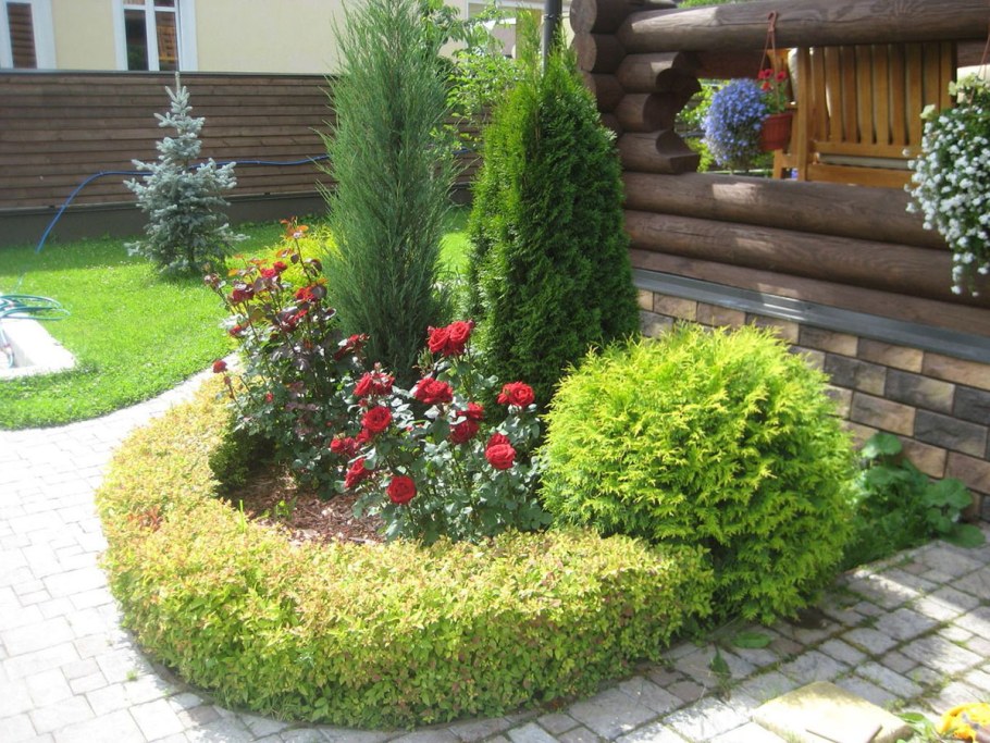 Ландшафт вдоль забора с хвойниками