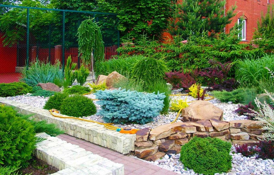 Можжевельник Блю миксбордер