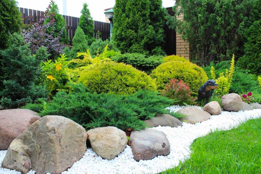 Красивый сад из хвойных: 60 лучших идей для загородного участка