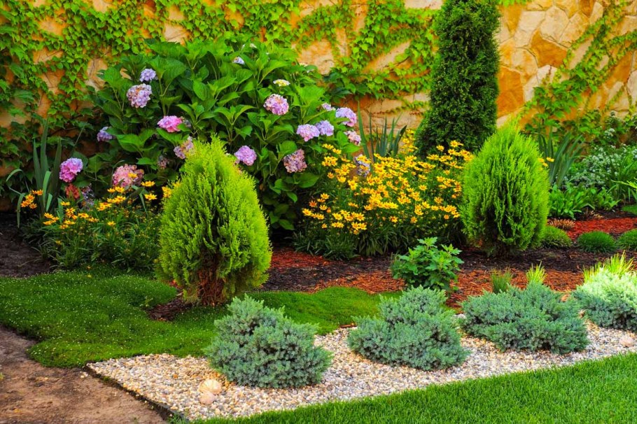 Ландшафт Хоста можжевельник горка