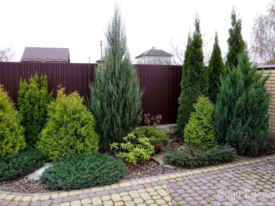 Стрижка елей Владимир Ляпчев