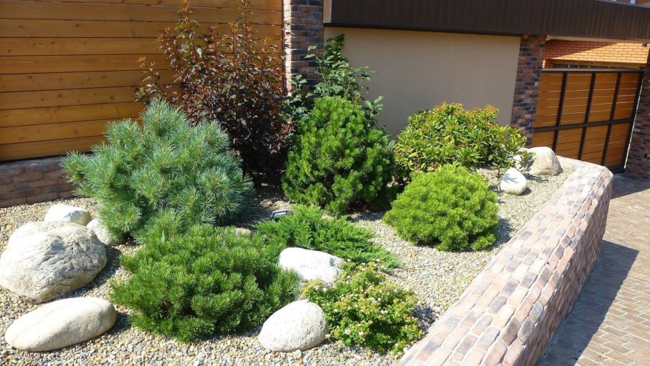 Туя Смарагд голубая ель миксбордер