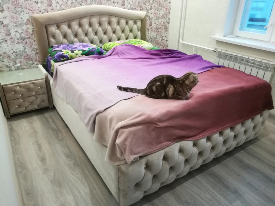 ЭКОСОН логотип