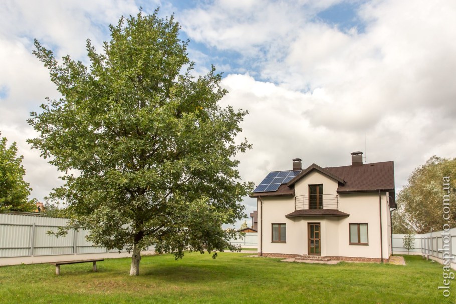 Огромное дерево перед домом