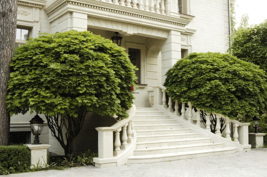 Il nature Гривко классический