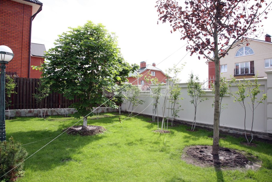 Пересадка крупномеров Барбарис