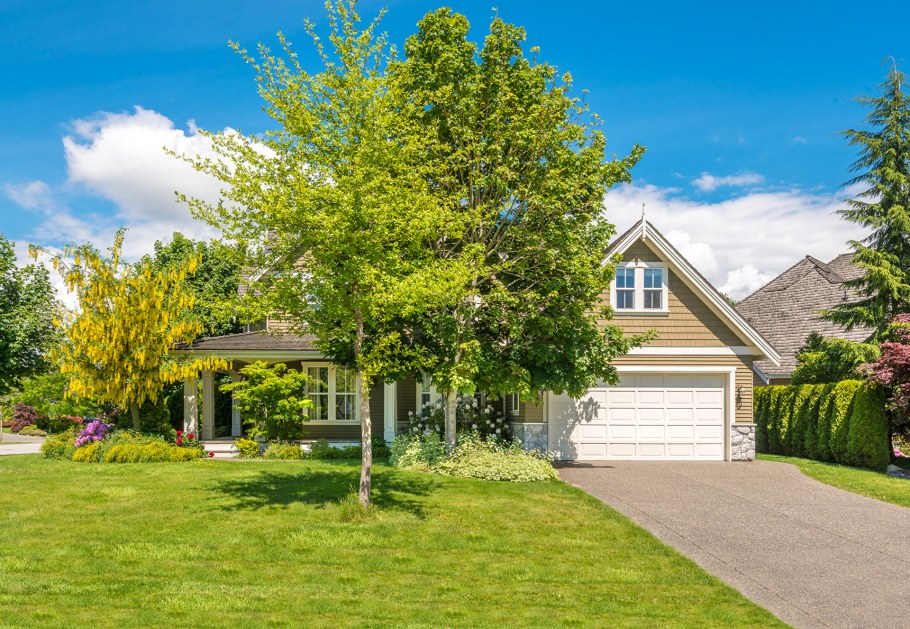 Деревья в частном доме