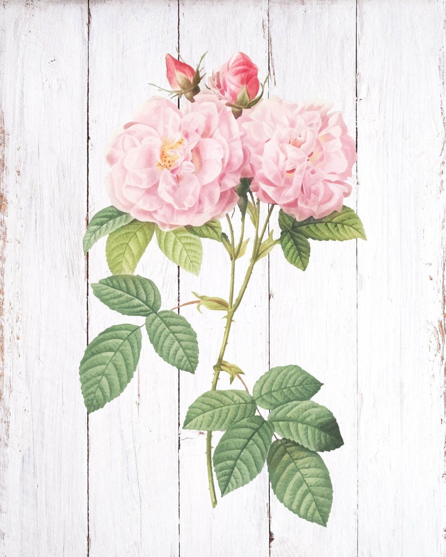 Красно розовая палитра