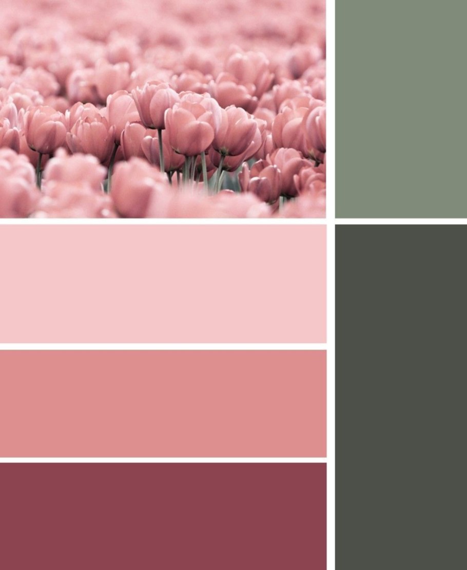 Оттенки пыльной розы в палитре