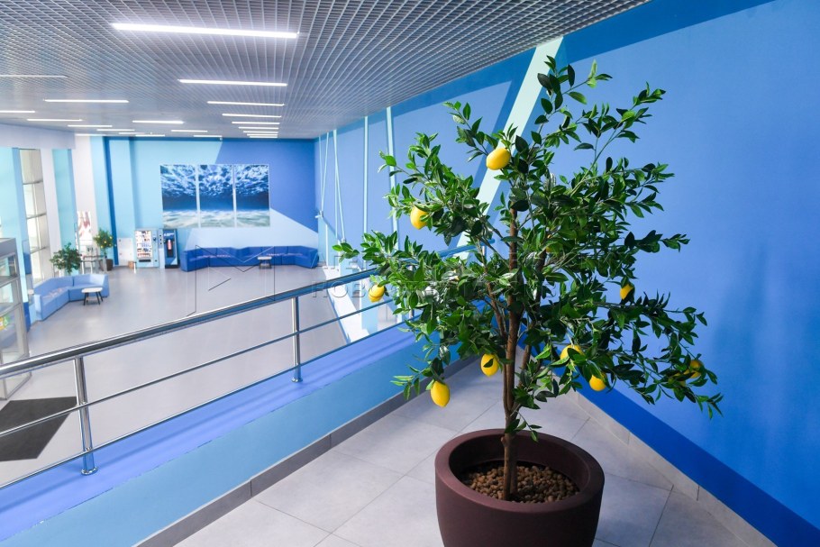 Акватория ЗИЛ тренажерный зал