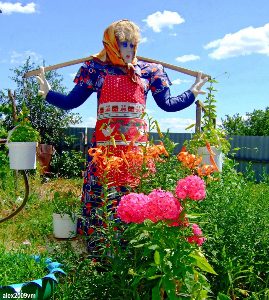 Цветы в огороде и на даче