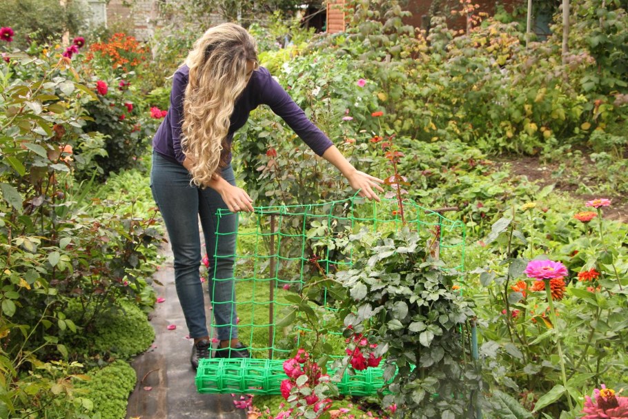 Забор-сетка для цветов в саду