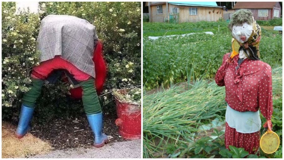 Чучело на даче прикольные