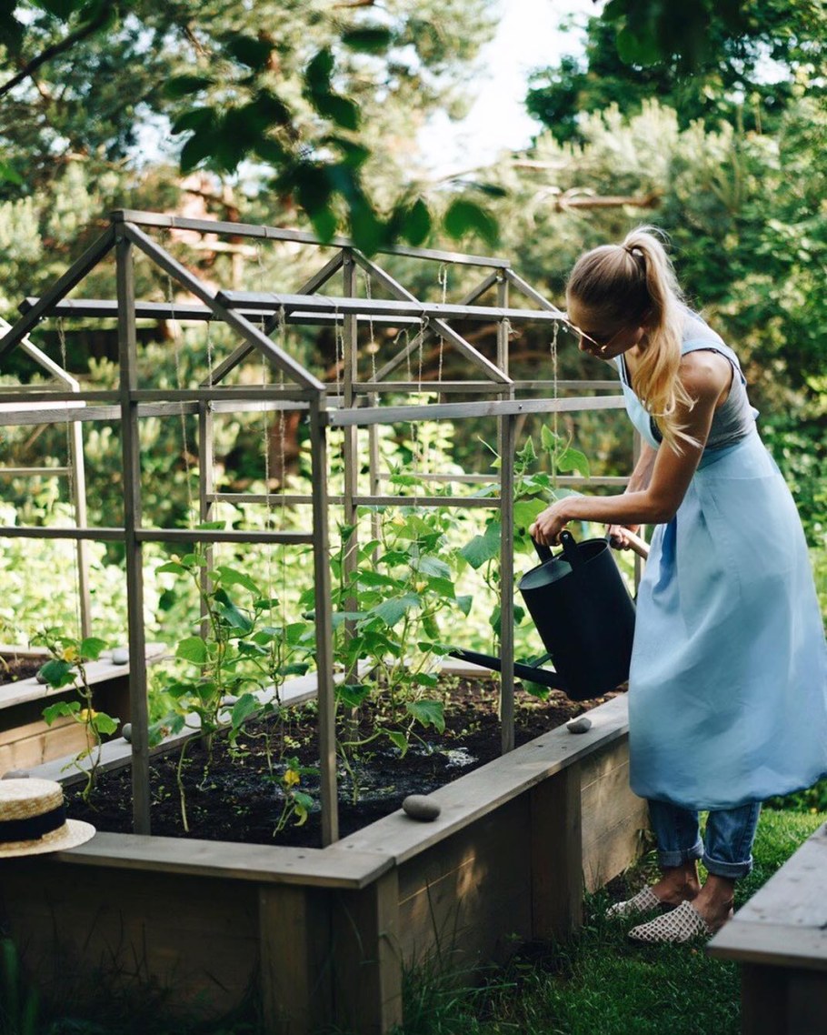 Сад дача Анна Акинина