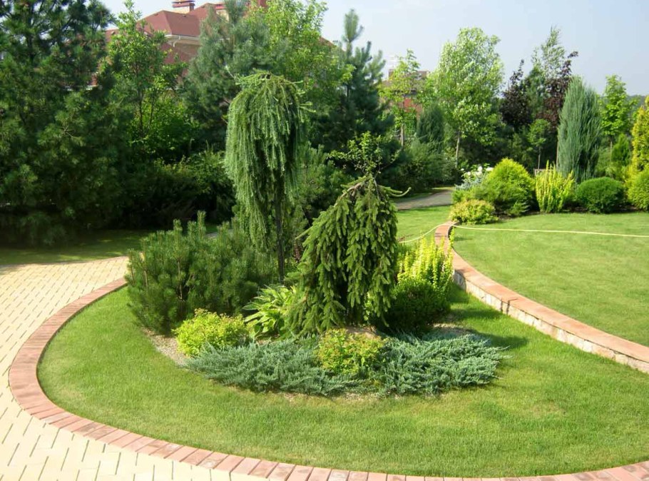 Туя Смарагд в озеленении территории