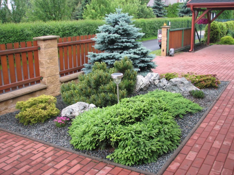 Миксбордеры с хвойниками