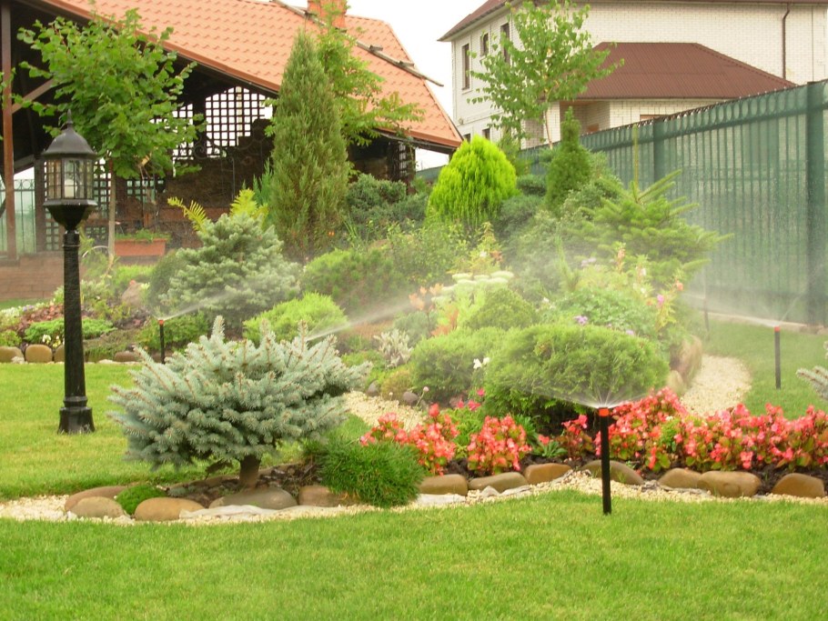 Туя Даника изгородь