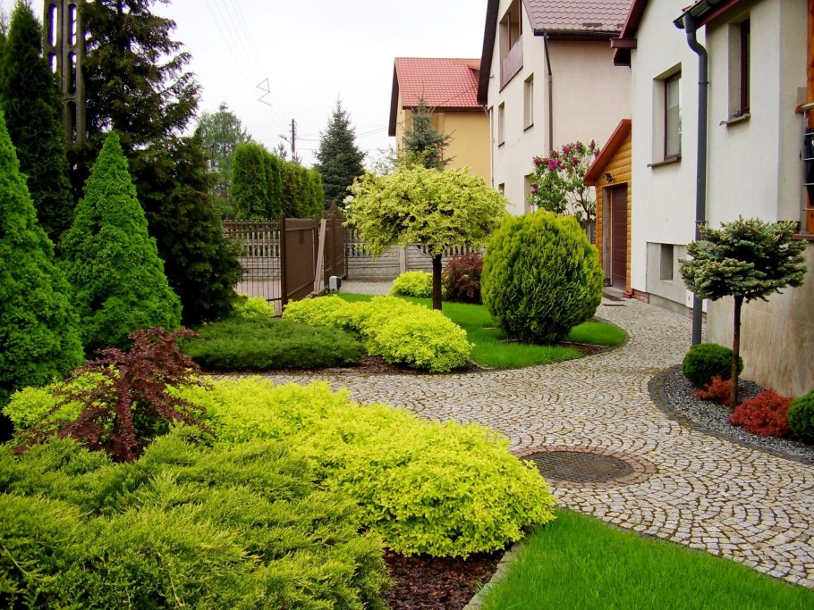 Варвара Докшина ландшафтный дизайнер