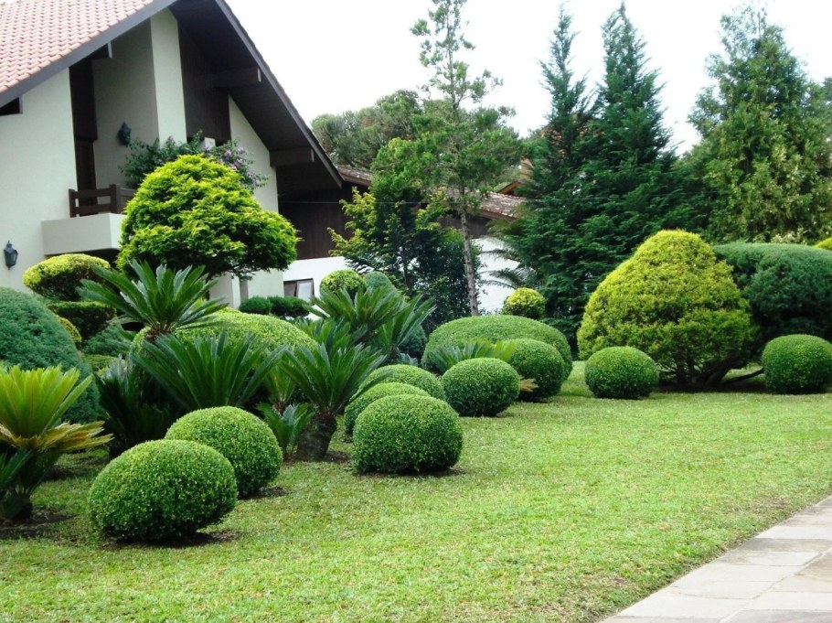 Туя бересклет скумпия миксбордер