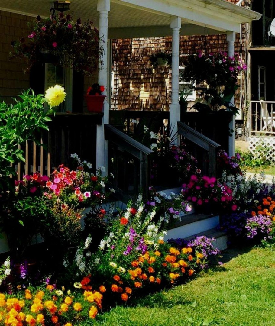 Розарий перед крыльцом