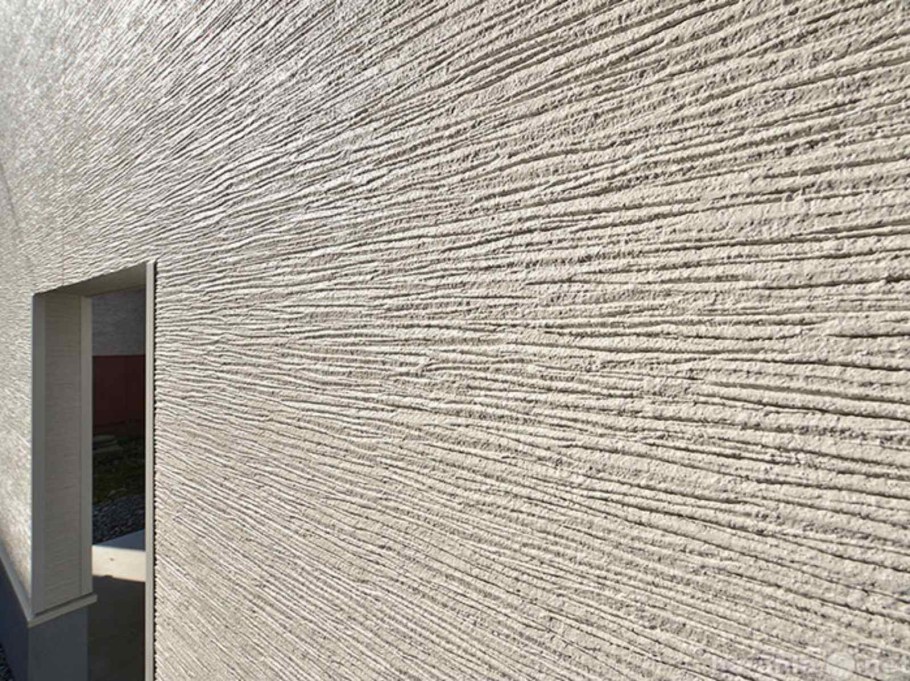 Короед Цитрон