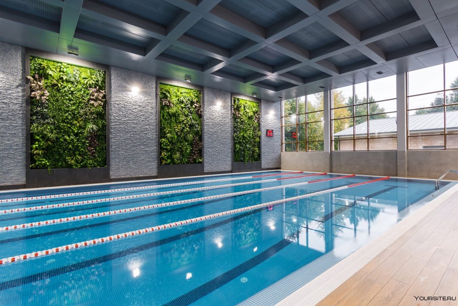Вита фит бассейн