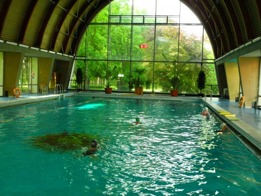 Терфит Куркино