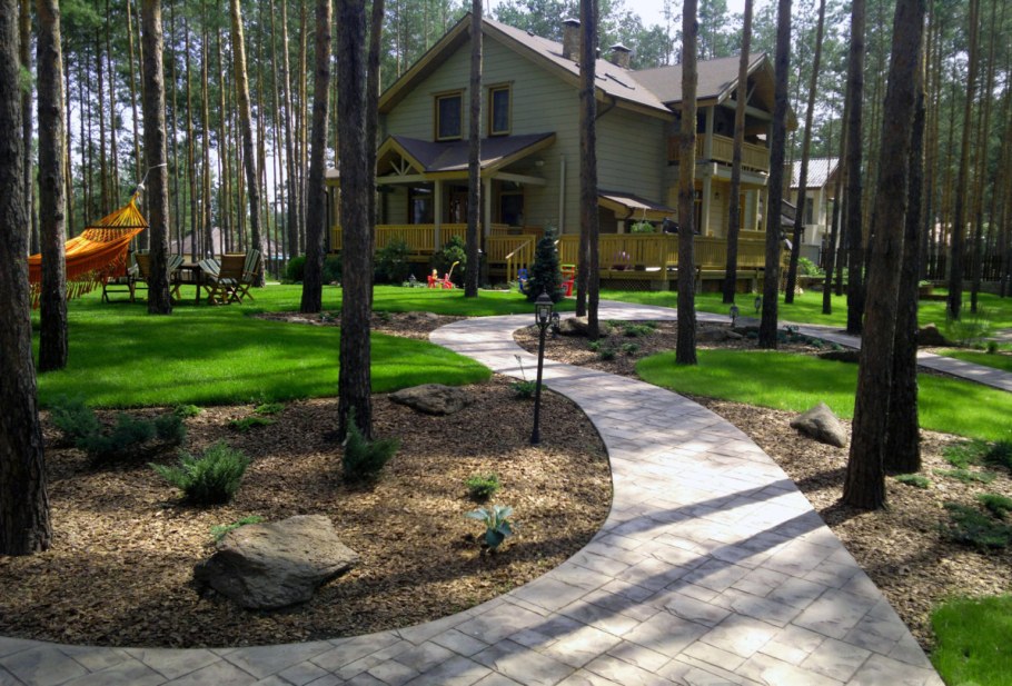 Мульчирование Лесной зоны