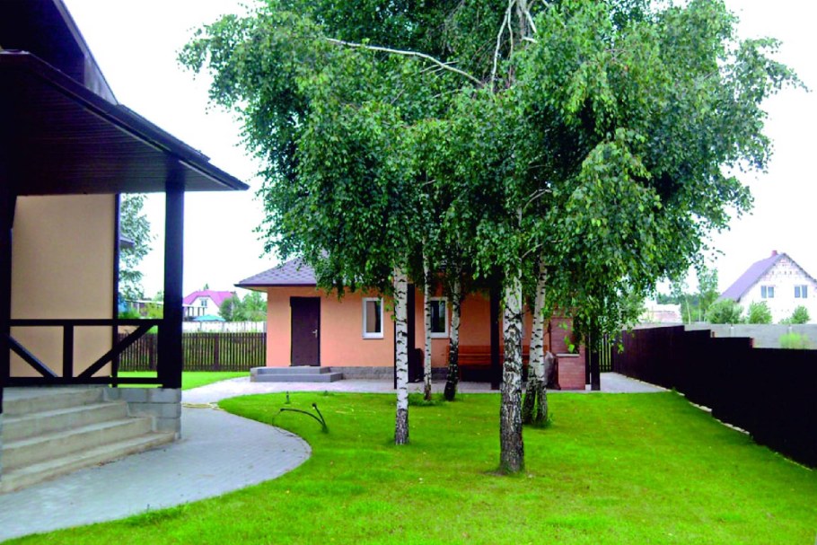 Деревья на участке