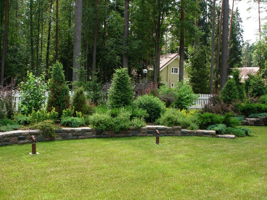 Туя Смарагд и дерен