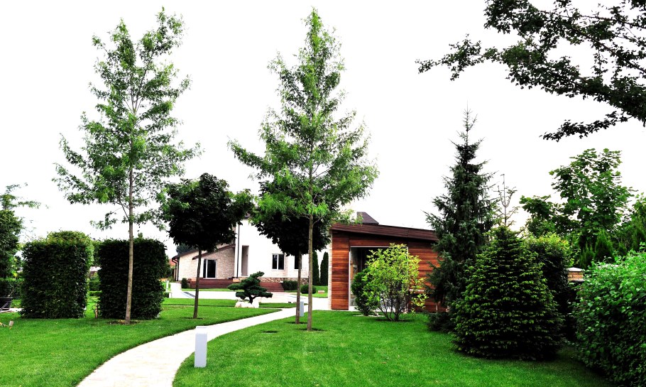 Дмитрий Бородавкин ландшафтный Архитектор