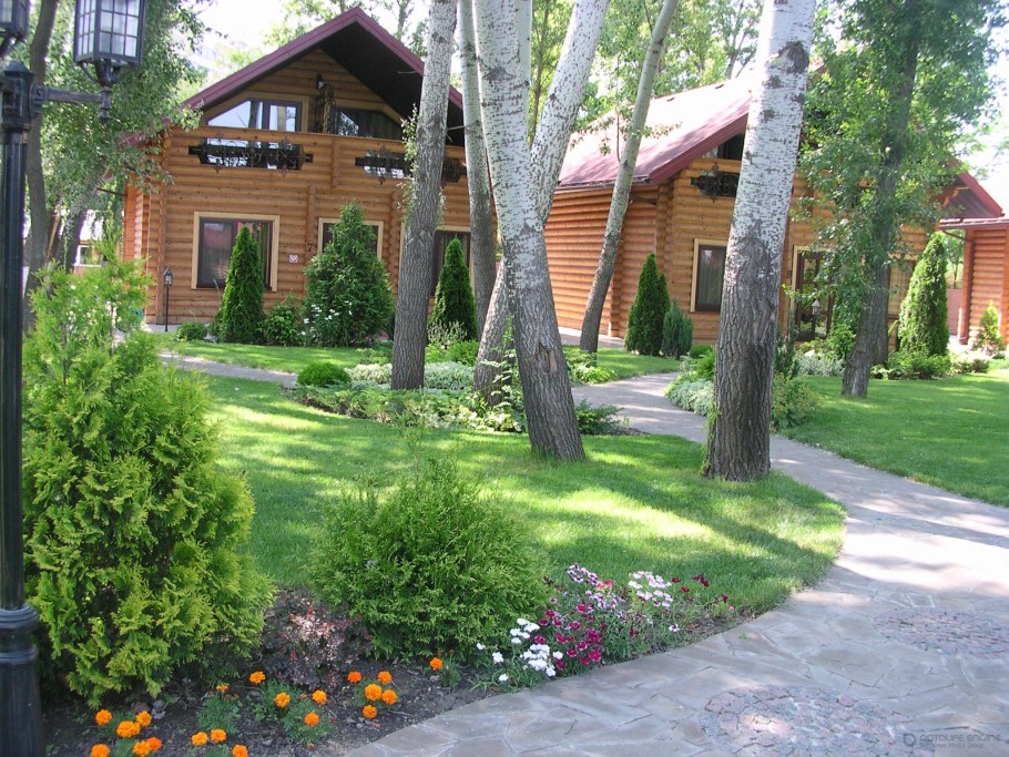 Дача с соснами на участке