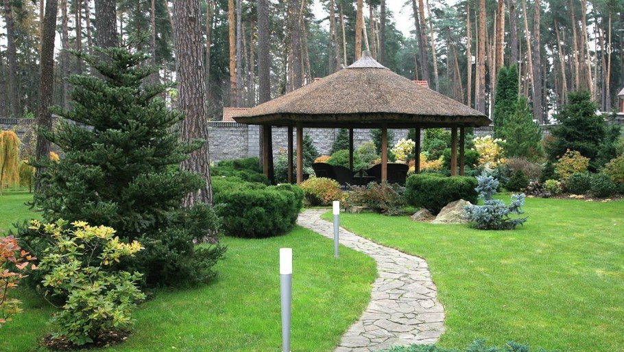 Ель Элеганс ландшафт