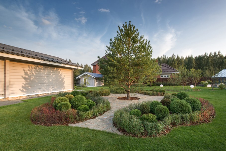 Рокарий с хвойными