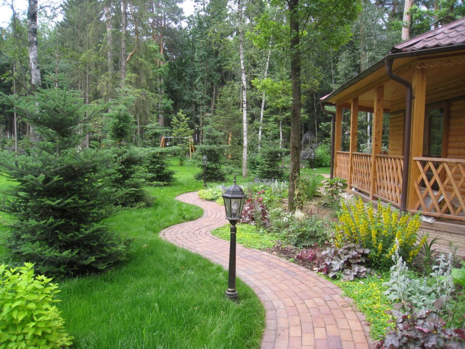 Пихта Сибирская крупномер ландшафт