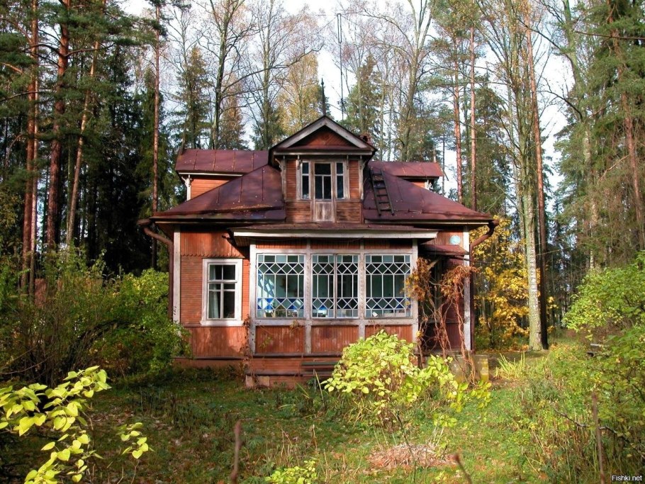Дача Васильевых Оредеж Вырица