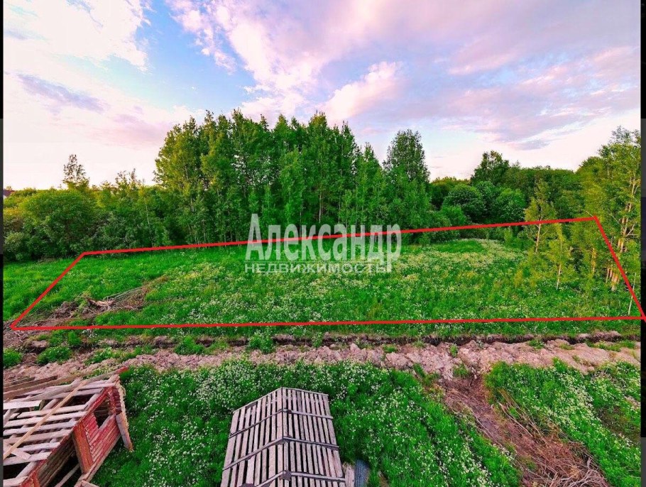 Деревенский домик с огородом